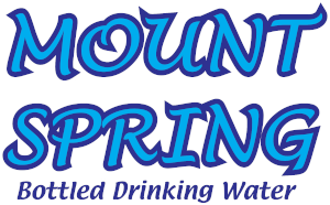 MountSpring logo